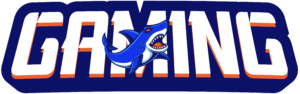 cropped-bfncgaming.com_logo.png