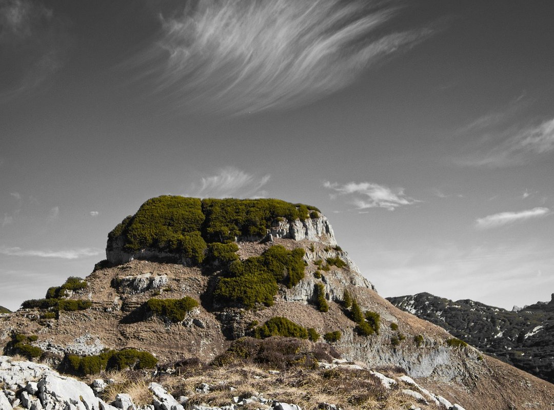 Essential Strategies to Conquer the 'Run' Song