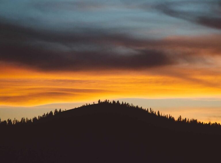 fnf:9jcokqug9pu= bob