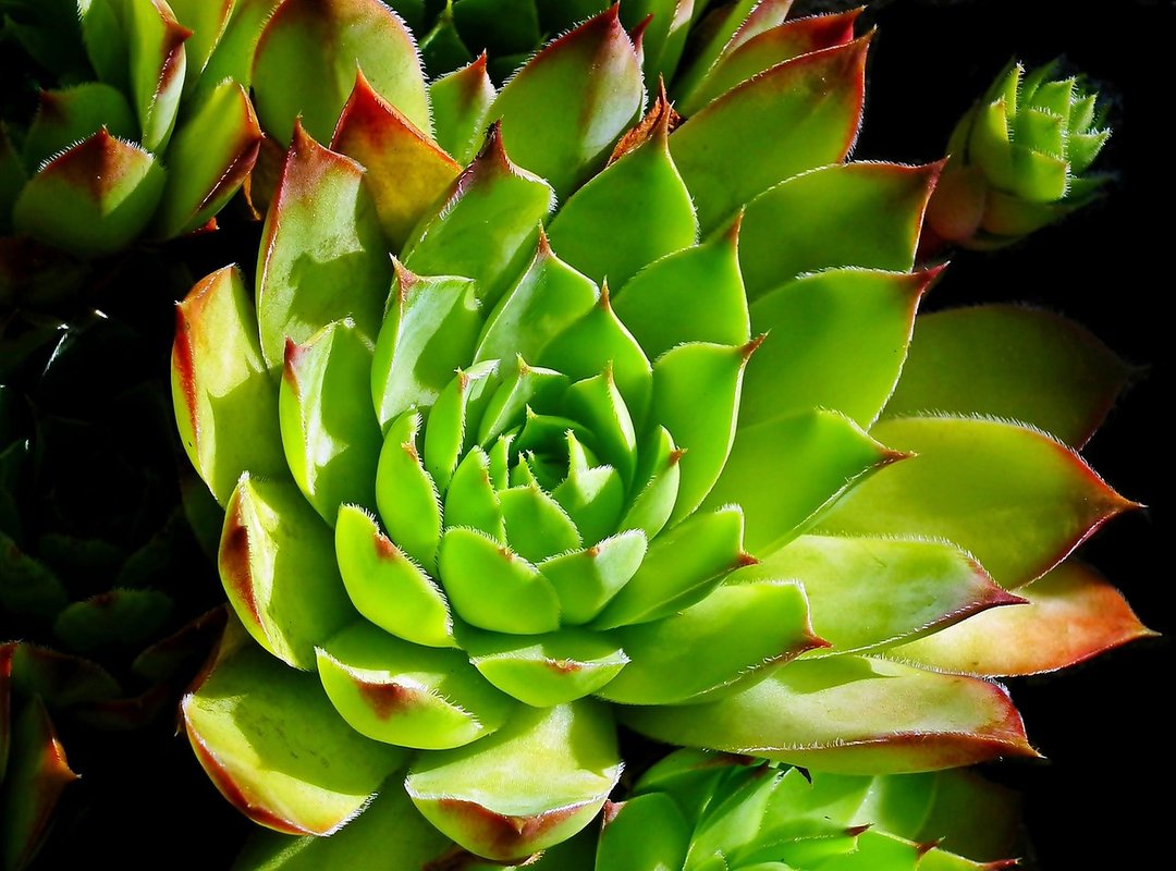 OOTD Examples for Different Occasions