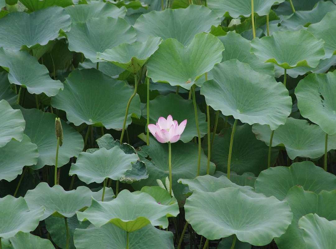 game prototyping guide