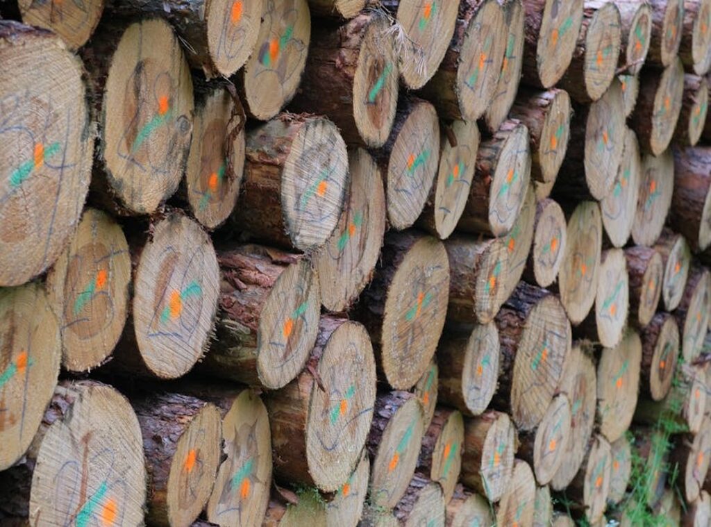 How to Log in to Vloweves Game