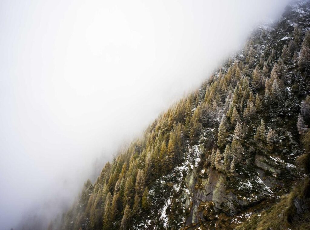 kenny:vzhme39qudc= south park