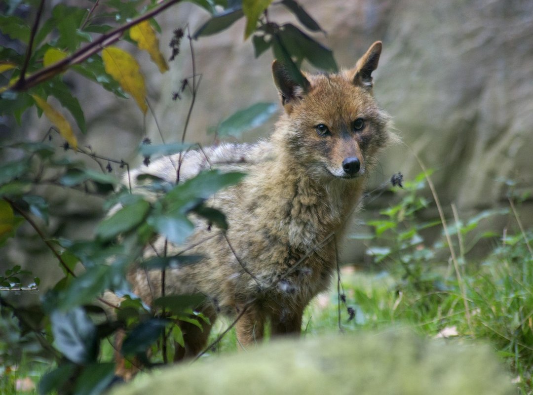 Tips for Gamers Pmwgamegeek